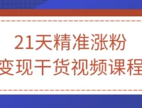 21天精准涨粉变现干货视频课程，从零基础到稳定变现的实操指南