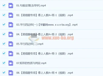 李爽数学2024初二数学A+寒假班（春上）全套课程资源