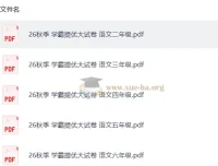 2027经纶学霸·5星学霸提优大试卷（2-6年级语文上册）电子版合集