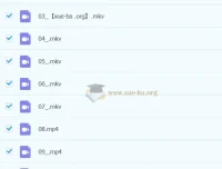 2023寒春三年级语文A+苏哲 小学作文阅读同步课程