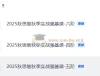 2025秋小学数学思维秋季实战强基课4-6阶合集