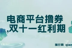 电商平台撸券实战教程，双十一红利期单号日入300+新玩法