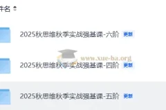 2025秋小学数学思维秋季实战强基课4-6阶合集