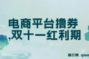 电商平台撸券实战教程，双十一红利期单号日入300+新玩法