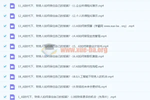 AI+财务人员进阶必修课二合一视频打包课，财务人转型与增值实战指南