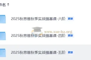 2025秋小学数学思维秋季实战强基课4-6阶合集