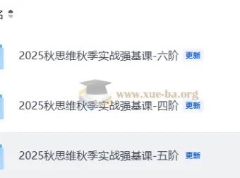2025秋小学数学思维秋季实战强基课4-6阶合集