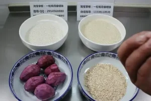 早餐创业技术教程合集，85款热门早餐做法+实体店配方视频