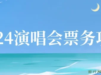 2024演唱会票务项目实操教程，零基础快速上手票务代理