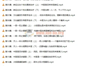 潘毅《闻道中医—推天檤以明医事》全35集视频课程