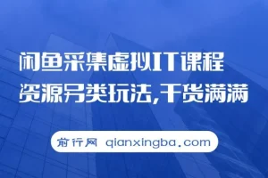 闲鱼虚拟IT课程资源采集变现新思路，实操干货分享