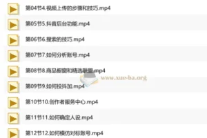短视频+直播带货实操课，从账号搭建到变现全流程（90节）