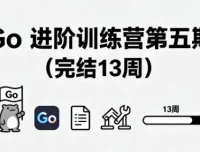 Go进阶训练营第五期（13周完结）对标字节2-2级能力模型