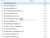 宋大大影摄实战教学30课：从对焦到调色，彻底告别“不会拍照”的尴尬
