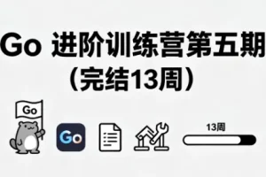 Go进阶训练营第五期（13周完结）对标字节2-2级能力模型