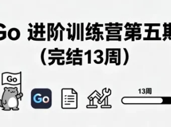 Go进阶训练营第五期（13周完结）对标字节2-2级能力模型