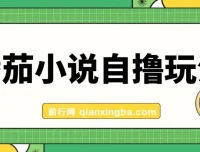 番茄小说自撸玩法，不靠播放量不靠视频质量，日入1000+实操教程