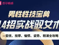 男性性技宝典视频课：14招实战驭女术完整攻略