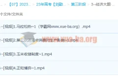 刘勖雯2023高三高考政治三阶段系统课 选择题大题专项突破