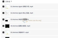 Hermes Agent智能体全维度实战课程 从部署到企业级应用