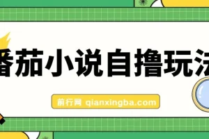 番茄小说自撸玩法，不靠播放量不靠视频质量，日入1000+实操教程