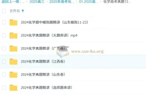 高中化学 2025高三高考化学 政哥李政 高考真题12小时精讲班