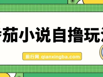 番茄小说自撸玩法，不靠播放量不靠视频质量，日入1000+实操教程