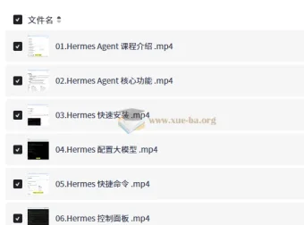 Hermes Agent智能体全维度实战课程 从部署到企业级应用