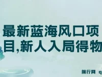 得物蓝海风口项目实操课，新人每天两小时，单账号月变现破万