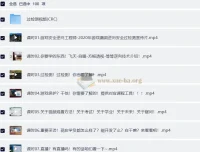 游戏安全逆向工程师入门到精通 网易云微专业全系列课程