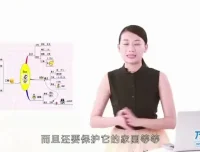 世界记忆大师课程：快速提升记忆力的系统训练指南