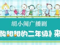 胡小闹广播剧《酸酸甜甜的二年级》48集 儿童睡前故事