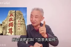 戴建业B站微课合集：100+期幽默解读经典诗词，轻松入门传统文化
