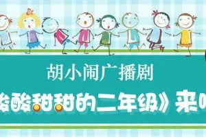 胡小闹广播剧《酸酸甜甜的二年级》48集 儿童睡前故事
