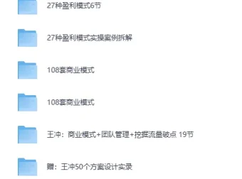 王冲-27种盈利模式课程合集：商业模式案例与方案实录