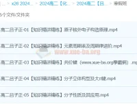 2024高中化学 吕子正 高二化学寒假班（知识精讲精练）