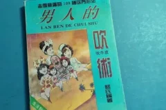 《男人的吹术》：男性社交话术与处世技巧实战手册