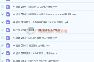 李婷怡2024高三高考物理A+暑假班课程资源