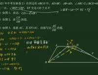 王若钊初中数学相似专题精讲视频课程