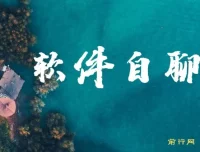 软件自聊赚钱项目实操教程，无幸存者偏差，每天稳定500+