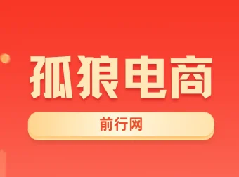 孤狼电商VIP教程：店群基础到4.0团队化全阶段实战课