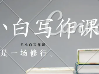 毛小白写作课：从入门到变现的系统写作实战指南