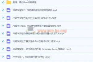 初中物理实验视频合集打包 含flash动画课件与全套实验