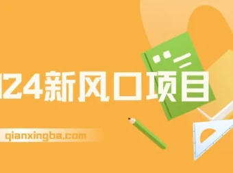 2024新风口项目，长期稳定副业创业，日入过千逆风翻盘