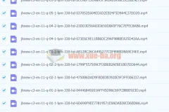 中考英语词汇全攻略 锁定高分必备课程