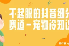 抖音宠物冷知识赛道实操教程，手机剪辑宠物视频配文案快速涨粉