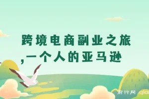 跨境电商副业实战：一个人的亚马逊运营课，从选品到利润全解析