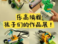 乐高编程青少年课程合集：3-6岁大颗粒教案+千余搭建视频+机械课
