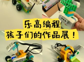 乐高编程青少年课程合集：3-6岁大颗粒教案+千余搭建视频+机械课