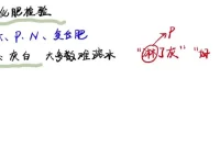2024清越姐姐高三化学选修一系统课+酸碱盐专题 高考冲刺提分必备